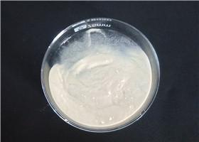 Cina CAS 315-37-7 steroidi di perdita di peso prova la E/la polvere di Enanthate testosterone di Primoteston in vendita