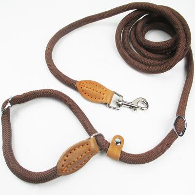 China Factory Supply Thoughtful Training Leash P Rope Lead Leash For Pet Dog Leash Rope Retractable Nylon for sale