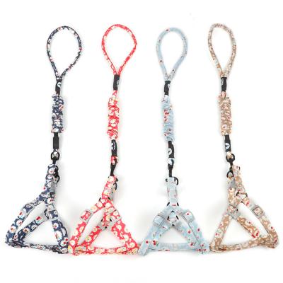 China Viable Adjustable Breathable Air Mesh Cat Chest Straps Harness Leash Leads Collar Vest With Leash for sale