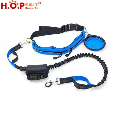 China Durable Nylon Dog Leash Adjustable Handle Pet Lead With Poop Bags Dispenser Bag for sale
