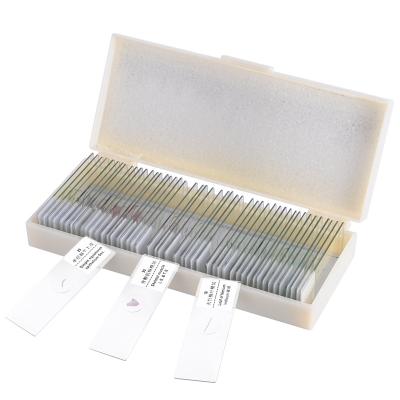 China 50 Pieces Animals Insects Plants Glass Specimen 50 Pieces Glass Microscope Specimen Prepared Animals Insects Plants Chinese/English Slide Sample Label Biological Lab OSL-808 for sale