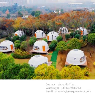 China 6m 6-8 Personas Transparente Glamping Hotel Iglu Tienda de cúpula geodésica para actividades al aire libre en venta