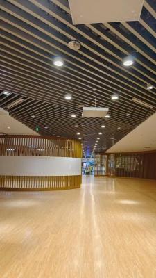 China Recyclebare dunwanden-extrusie-aluminiumprofielen 1,2 mm dik voor lichte structuren Te koop