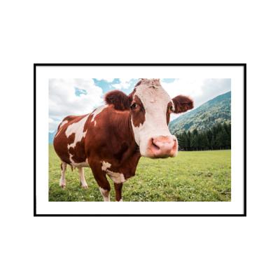 China Morden Hot Sale Size 4x6 5x7 6x8 Custom Aluminum Poster Picture Frame View Wall Photo Frame for sale