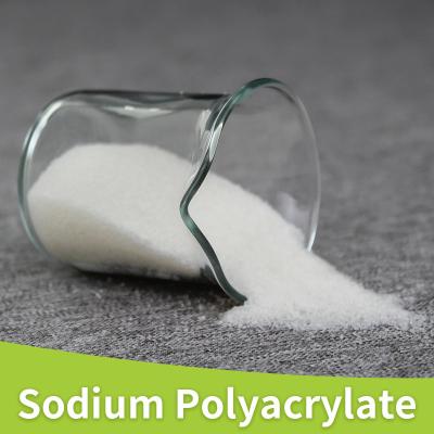 China Industry Grade Sodium Polyacrylate High Absorption Capacity Polyacrylic Acid Sodium Salt 9003-04-7 for sale