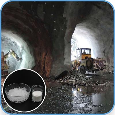 China Non Harmless Mining Polymer Stable Customized Super Absorbent Polymer Sap for sale