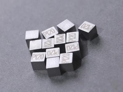 China Audental PT20 (Noble Legierung/Zahnporzellanlegierung/Weiß/PT20%) zu verkaufen