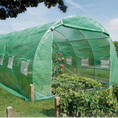 China Easily Assembled Plastic Greenhouse Hydroponic Systems Garden House Made In China for sale