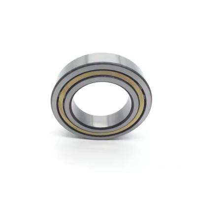 China NJ310ECM Cylindrical Roller Bearings (NJ310E.M1 NJ310EM NJ310M Available) for sale