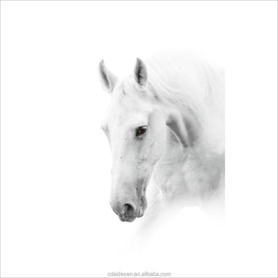 China Modern Abstractions Wind Shell Occupy Minimalist Art Deco Drapes White Horse Living Room Black And White Art for sale