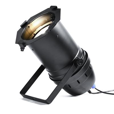 China Theme Park 120W RGBW 4in1 Stage Lighting COB Led Par Light Wedding Dj Lighting Indoor for sale