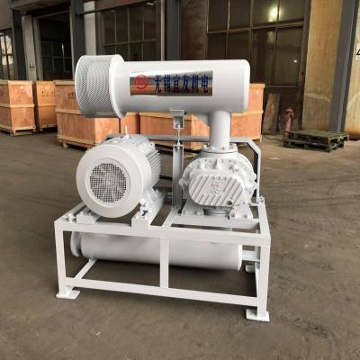 China Economical Roots Type Blower for sale