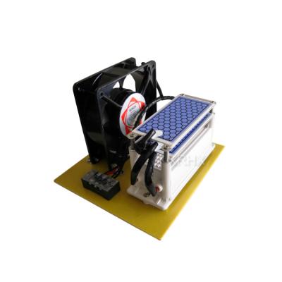 China 110g/h Ozone Generator with Ozone Power Supply Power Cord and Fan for sale
