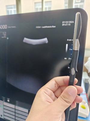 China Top BK Medical Surgical Ultrasound For Medical Diagnose BK 9066 Laparoscopic Probe Repair Probe for sale