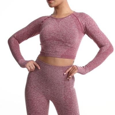 China Solid Color Women's Yoga Clothing Set Breathable Breathable Fitness Yoga Clothing Quick Dry Set for sale