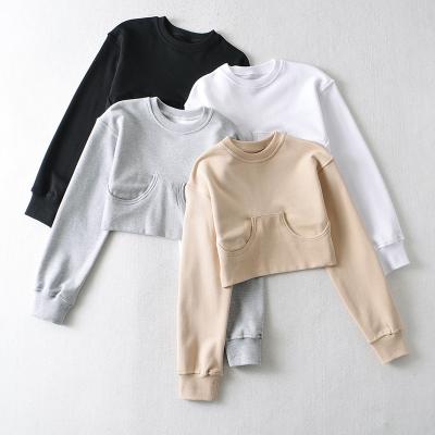 China Sustainable Europe and America Sta Round Neck Yarn Solid Color Yarn Quilting Sports Women's Short Crop Top Long Sleeve Sweater for sale
