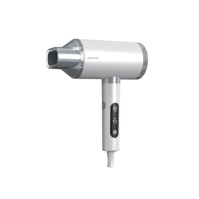 China DC 1800W Ionic Fast Blow Dryer Custom High Speed Brushless Hair Dryer for sale