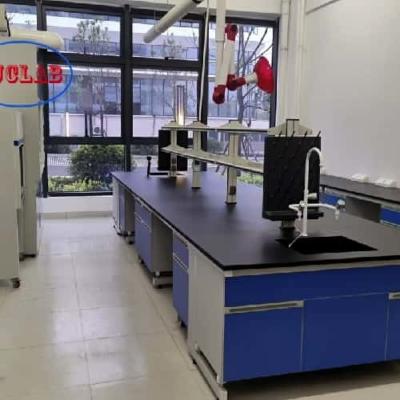 China High Safety and Some Assembly Required Lab Bench with Sink Manufacturers for sale