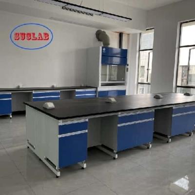 China Excellent Customer Service for Customizable Laboratory Benches and Cabinets Made of Wood for sale
