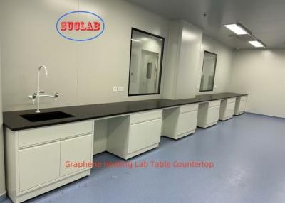 China Customizable Heating Chemistry Lab Furniture Storage and Sand Blasting for Maximum Performance for sale