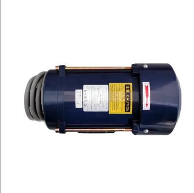 China Bernet AC220V Motor Elétrico de Fase Única 1HP/0.75Kw para Dispensador de Combustível à venda