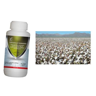 Cina Pesticidi Organici per il cotone Pesticidi per la poliedrosi nucleare Virus per uccidere il cotone Bollworm Insetticidi biologici HaNPV in vendita