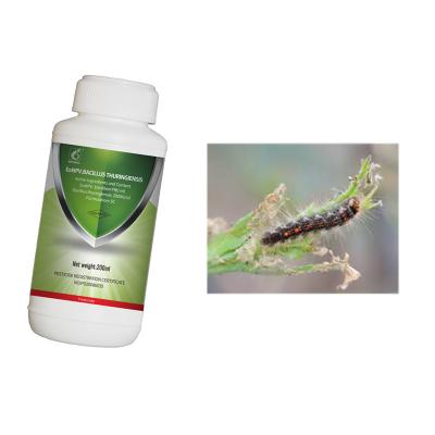 China Organic Tea Tree Insecticide Eliminate Garden Tea Geometrid Caterpillar Control for sale