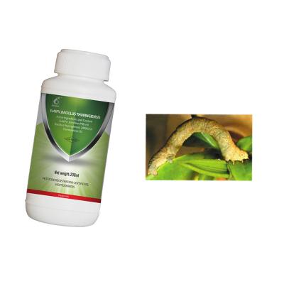 China Organic Planting Tea Geometrid Tea Caterpillar Target Pests Killing Tea Farm Safe Insecticide for sale