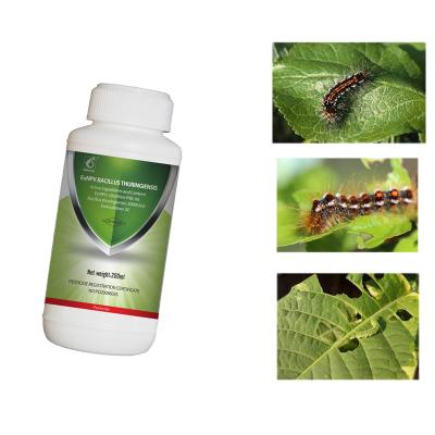 China Organic Pesticide Kill Tea Geometrid Caterpillar Fly Effective Sustainable Solution for sale