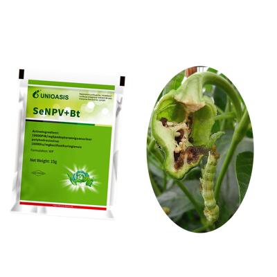 China Powerful and Effective Beet Armyworm chemical biological control in Maize 2 Years Shelf Life 20g Per 15L Water Application Rate for sale