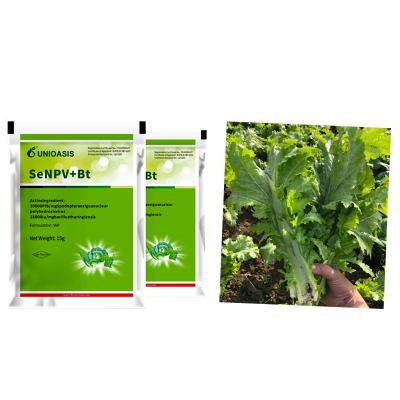 China Active Ingredient Pest Virus And Bt Corn kill beet armyworm eggs beet armyworm caterpillar for sale