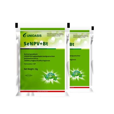 China Beet armyworm prevention for Africa Active Pests Corn Borer beet armyworm larvae eat a variety of plants including tomato plants for sale