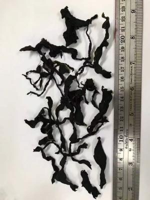 Chine Tender premium Wakame: douceur vert foncé pour les soupes et les salades à vendre