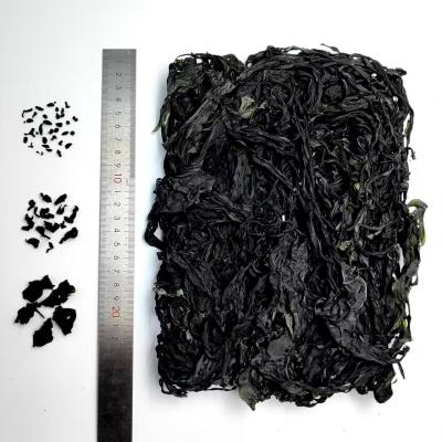 Chine Améliorez votre cuisine avec le wakame biologique: feuilles tendres, teinte verte profonde, utilisations culinaires infinies à vendre