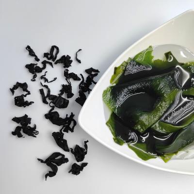 Chine Santé et délicieux: Wakame doux, couleur verte riche à vendre