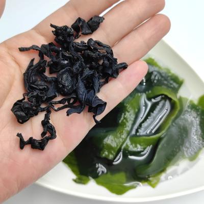 Chine Débloquez la polyvalence du wakame: feuilles vertes foncées pour les soupes, collations et cuisine japonaise à vendre
