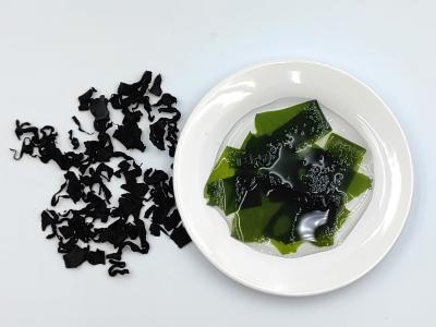 Chine Le wakame gourmand: feuilles tendres, teinte vert foncé à vendre
