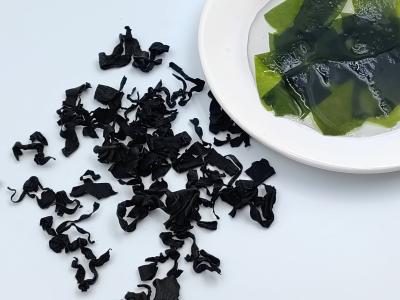 Chine Découvrez le secret d'un repas savoureux: Wakame doux, vert vif et prêt pour les soupes et le sushi à vendre