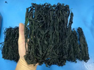 Chine Délicieuse délicatesse d'algues: Wakame tendre, vert luxuriant, parfait pour les frites et les bouillons à vendre