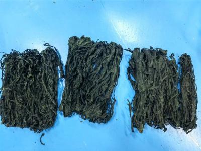 Chine Votre aliment de base de cuisine: Wakame haut de gamme, vert foncé et délicatement mâché à vendre