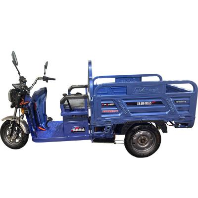 China Cargo Family electric car adult cargo tricycle Small family tricycle pedal freight 3 wheels 32A tuk-tuk 1000w motor electric tricycle for sale