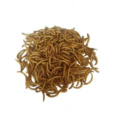 China Sustainable Dried Mealworms Bird Food For Pet Food for sale
