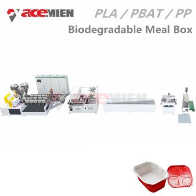 Κίνα Cornstarch PLA PBAT βιοδιασπάσιμη μηχανή κατασκευής εμπορευματοκιβωτίων τροφίμων προς πώληση