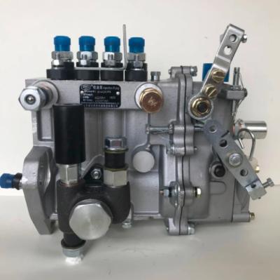 China Car Fuel Pump Assembly BH4Q80R8 4 Cylinder Fuel Pump 4Q206 For YUNNEI 490 Diesel Engine Other for sale