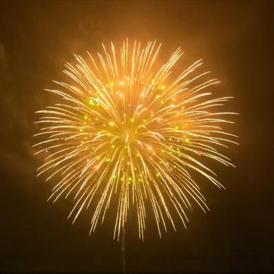 Cina Fabbrica cinese di alta qualità Feste e celebrazioni 2 2,5 3 4 5 6 8 Inch Display Shells 1.3g Fuochi d'artificio professionali in vendita