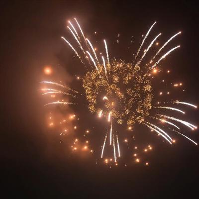 Cina Fabbrica Liuyang forniture all'ingrosso Mandarino Display professionale fuochi d'artificio 4 pollici Display conchiglie fuochi d'artificio 1.3g pirotecnica in vendita