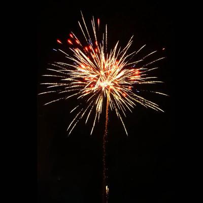 Cina Liuyang Pyrotechnics 100 colpi in vendita all'ingrosso torta dei consumatori fuochi d'artificio 2025 nuovi fuochi d'artificio in effetto incredibile torta dei fuochi d'artificio in vendita