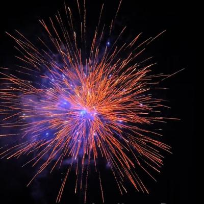 Cina Cina all'ingrosso Cina pirotecnica fuochi d'artificio da 1,2 pollici fuochi d'artificio da 1,4 grammi fuochi d'artificio da torta di consumo prezzo di fabbrica fuochi d'artificio all'aperto 2025 in vendita