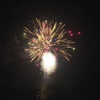 Cina 88 colpi di alta qualità a basso prezzo CE approvato Display all'ingrosso per il consumo cinese fuochi d'artificio di torte dalla fabbrica Liuyang in vendita
