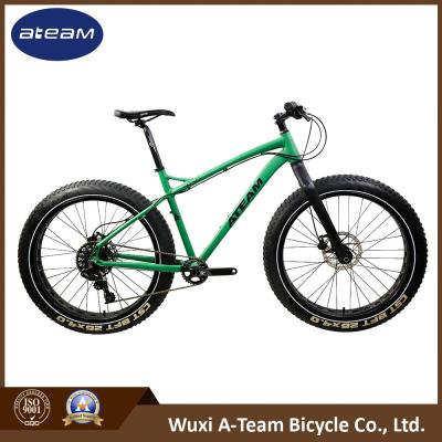 Китай 20 дюймов 26 скорость 700C Chromoly велосипеда 8 автошины дюйма жирная продается